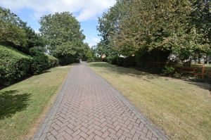 Driveway- click for photo gallery